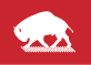 Bison